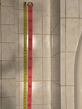 Pink Crab-Print Belt with D-Ring